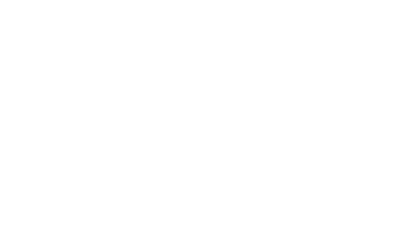 pina logo